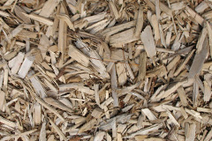 biomass boilers Cores End